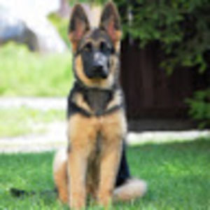 Meet your Posher, Jeniffer